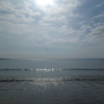SpringHill Suites by Marriott Boston Logan Airport Revere Beach - Birds wait planes wait birds wait plan... - Hotels Near Me - Revere, Massachusetts