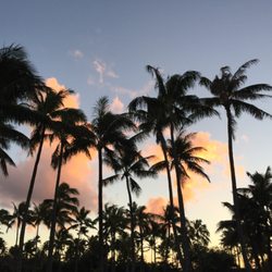 Aloha Mobile Massage & Yoga