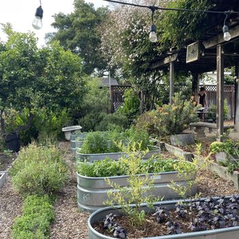 Home - New American Near Me - Soquel, California Home - New American Near Me - Soquel, California