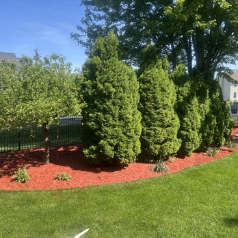 Albright Custom Services - Freshened up landscape area. - Dumpster Rental Near Me - Oshkosh, Wisconsin