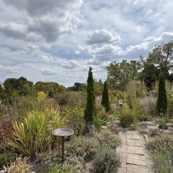 Garden area with a variety of plants, trees & pollinators  which inspire and/or are used in beer & kombucha