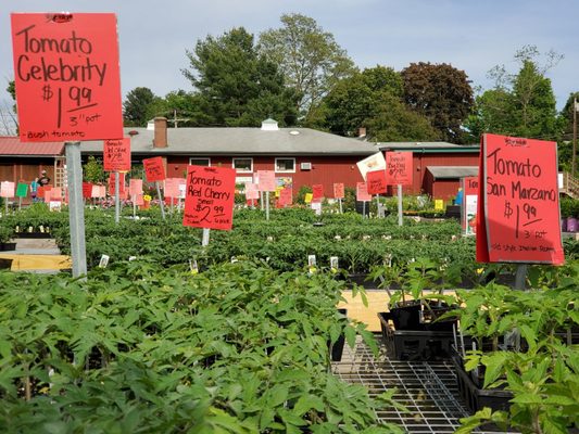 Randall S Farm 50 Photos 53 Reviews Fruits Veggies 631 Center St Ludlow Ma Restaurant Reviews Phone Number