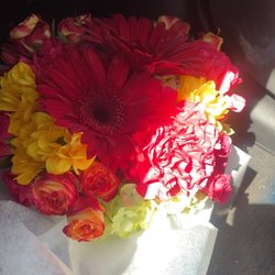 All Blooming Flowers