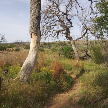 Inks Lake State Park - Parks Near Me - Burnet, Texas