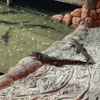 Congo River Golf - Amusement Parks Near Me - Daytona Beach Shores, Florida