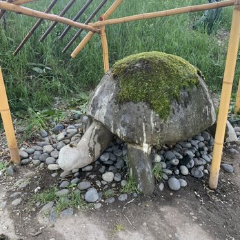 Fremont Troll - Turtle - Public Art Near Me - Seattle, Washington Fremont Troll - Turtle - Public Art Near Me - Seattle, Washington