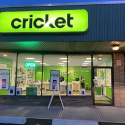 Cricket