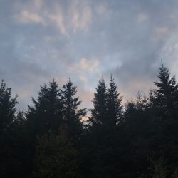 Parc Secteur Pimbina
