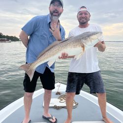 Scallywag Charters