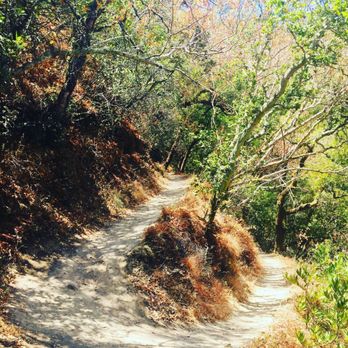 Alum Rock Park - 700 ft climb via switchbacks, love it. - Parks Near Me - San Jose, California