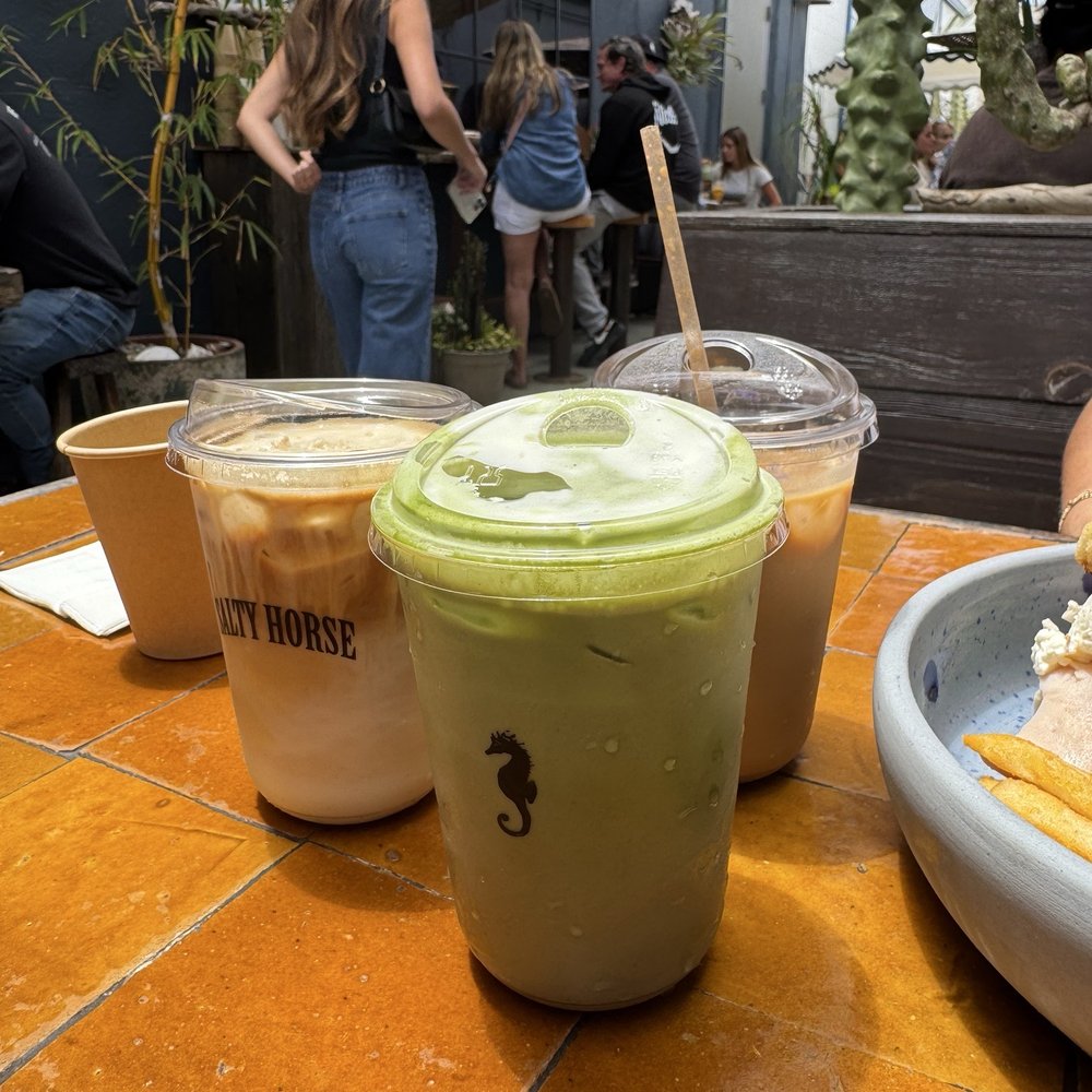 Salty Horse - Cafes Near Me - Costa Mesa, California Salty Horse - Cafes Near Me - Costa Mesa, California