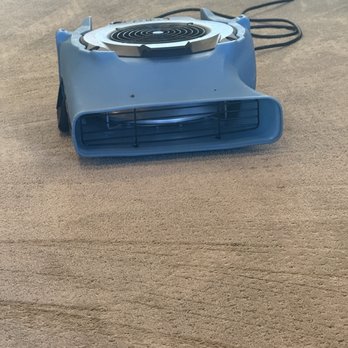 Platinum Carpet Cleaning - Carpet Cleaning Near Me Platinum Carpet Cleaning - Carpet Cleaning Near Me