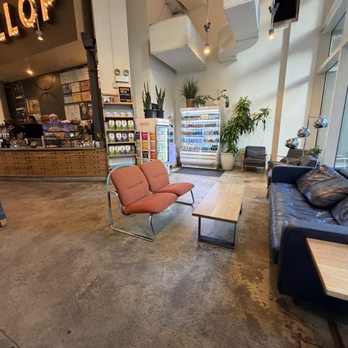 Dollop Coffee - Cafes Near Me - Chicago, Illinois