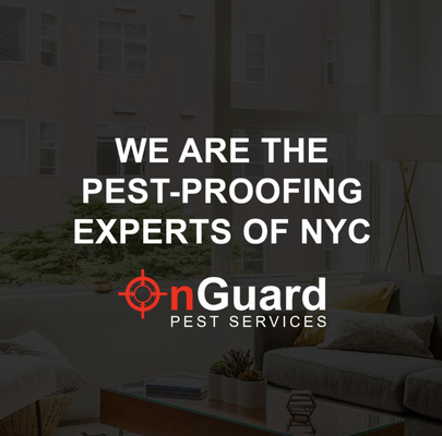 Pest Proofing Services - The best time to treat a pest infestation is before it starts. At OnGuard Pest Services, our personalized monthly pest control management services in New York City can help you do just that! Our high-quality service helps you prevent pest infestations, including the presence of mice, roaches, flies, ants, and more. This creates a pest-free environment for you to live and work in! Pest Proofing Services - The best time to treat a pest infestation is before it starts. At OnGuard Pest Services, our personalized monthly pest control management services in New York City can help you do just that! Our high-quality service helps you prevent pest infestations, including the presence of mice, roaches, flies, ants, and more. This creates a pest-free environment for you to live and work in!
