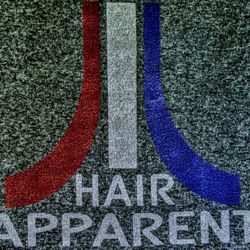 Hair Apparent - Hoodies
