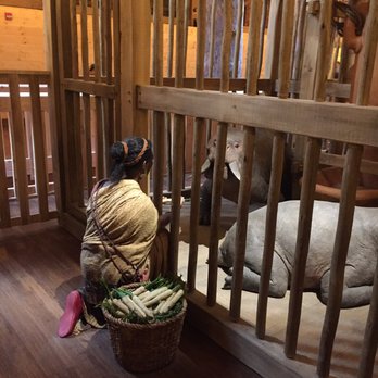 Ark Encounter - Museums Near Me - Williamstown, Kentucky