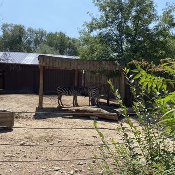 Idaho Falls Zoo - Zoos Near Me - Idaho Falls, Idaho Idaho Falls Zoo - Zoos Near Me - Idaho Falls, Idaho