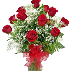Watson's Florist & Flower Delivery - Deluxe Dozen Roses