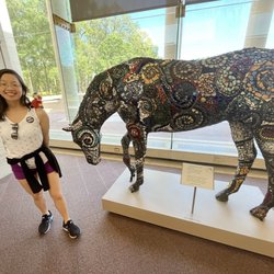 Appleton Museum of Art