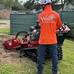 Wilbers Tree service