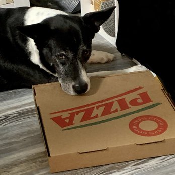 Brooklyn Express Pizza & Pasta - This is how we all felt when it was gone. - Pizza Near Me - Irmo, South Carolina Brooklyn Express Pizza & Pasta - This is how we all felt when it was gone. - Pizza Near Me - Irmo, South Carolina
