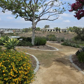 Allen Jones Park - Parks Near Me - San Diego, California