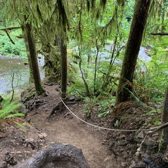 Abiqua Falls Trailhead - More of the ropes - Hiking Near Me Abiqua Falls Trailhead - More of the ropes - Hiking Near Me