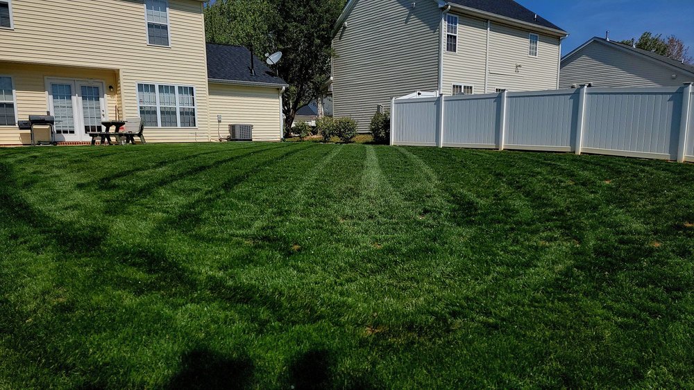 Crosby Lawn Care - tree service in Greensboro, NC