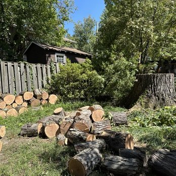 West Tree Services - I asked for some of the smaller rounds to be left for firewood. The crew cut them to 18" and stacked them nicely. - Tree Services Near Me