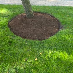 Rafael Landscaping