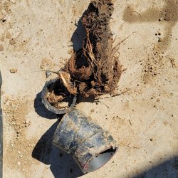 Temecula Drain Service & Plumbing