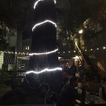 The Double Standard - Giant redwood on the patio - Cocktail Bars Near Me - Oakland, California