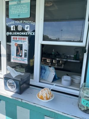 Blue Monkey Shaved Ice by null