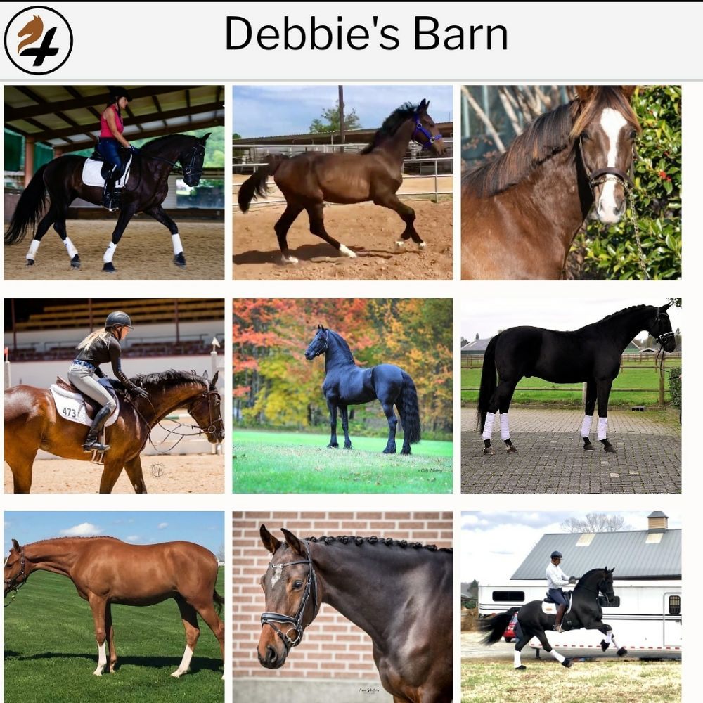 HORSES 4 Updated June 2024 934 Saginaw Rd, Oxford, Pennsylvania