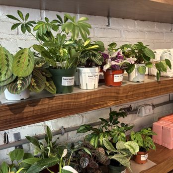 Nook Coffee Bar - Coffee & Tea Near Me - Costa Mesa, California Nook Coffee Bar - Coffee & Tea Near Me - Costa Mesa, California