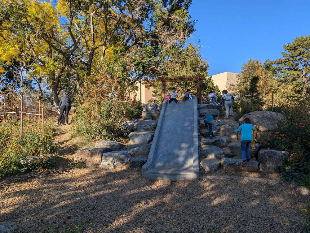 Nature Play in City Park Image