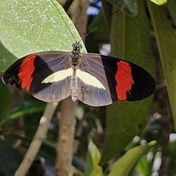 Botanischer Garten München-Nymphenburg