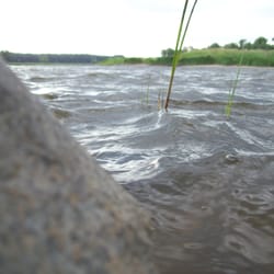 Elbwiesen