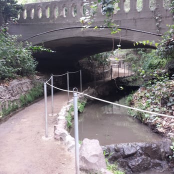 Fern Dell - Under the bridge - Hiking Near Me - Los Angeles, California