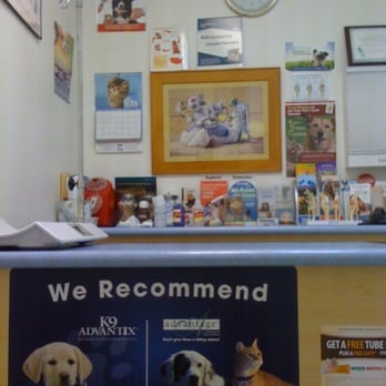 Cheap bloom pet hospital Clearance