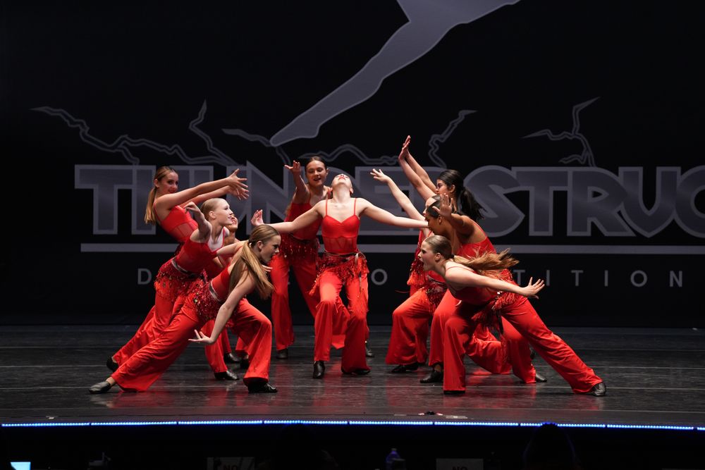 The Dancer's Institute Logo