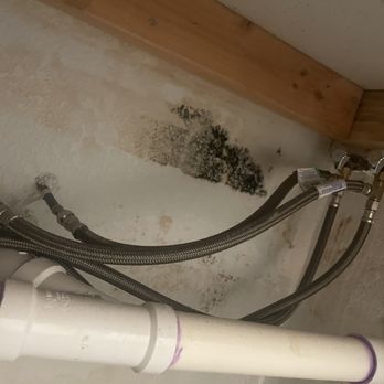 Suburban Studios Fairborn - Black mold - Hotels Near Me - Fairborn, Ohio