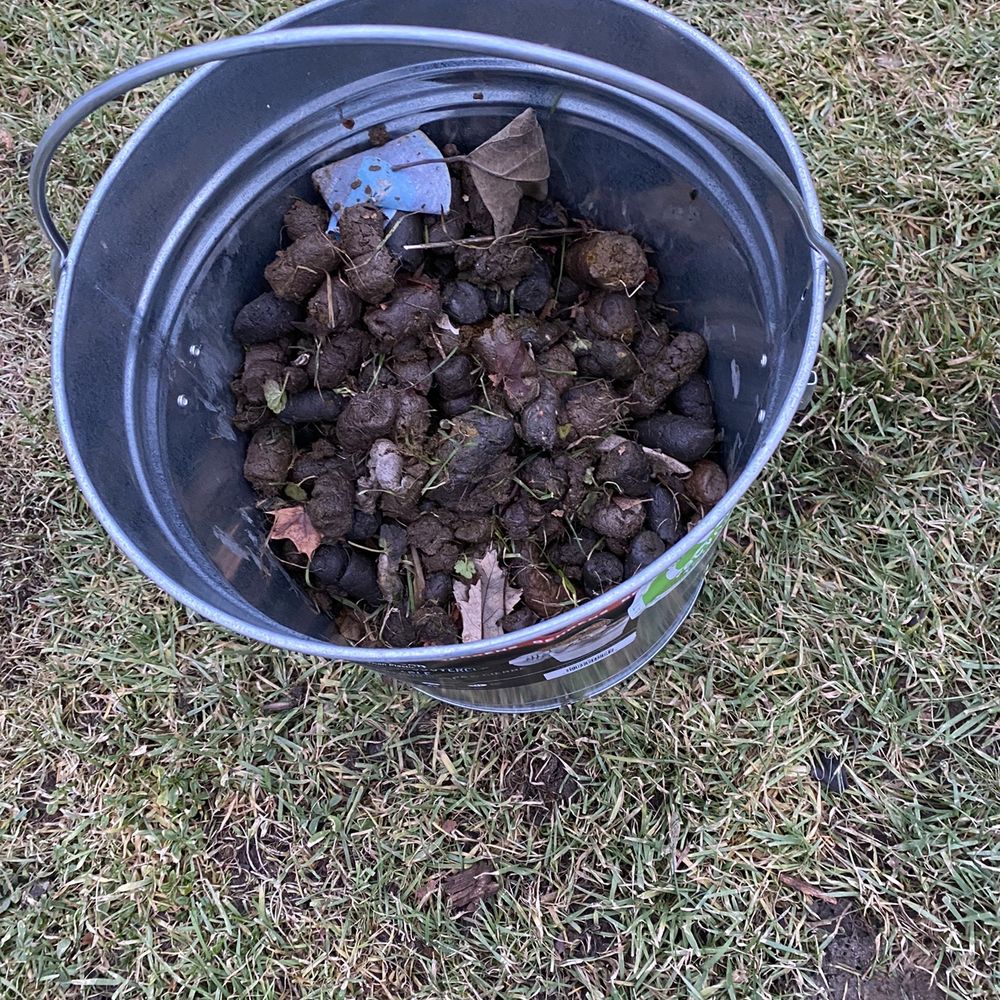 Poop 911 - 20 pounds of poop! Took 45 minutes to clean up- - Pet Waste Removal Near Me Poop 911 - 20 pounds of poop! Took 45 minutes to clean up- - Pet Waste Removal Near Me