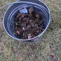 Poop 911 - 20 pounds of poop! Took 45 minutes to clean up-