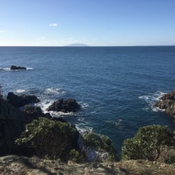 Tiritiri Matangi