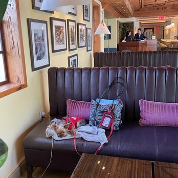 Cafe Boulud - Puppy  Quinn - French Near Me - Palm Beach, Florida