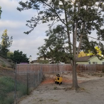 Morales Tree Service - Almost done. One left standing - Tree Services Near Me - National City, California Morales Tree Service - Almost done. One left standing - Tree Services Near Me - National City, California