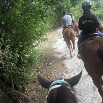 5 Star Stables - Horseback Riding Near Me - North Fort Myers, Florida 5 Star Stables - Horseback Riding Near Me - North Fort Myers, Florida