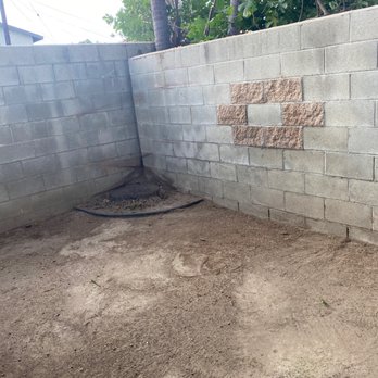 Octavio's Tree Service - After - Tree Services Near Me Octavio's Tree Service - After - Tree Services Near Me