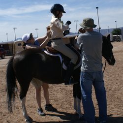 Leigh-Ann's Riding Academy